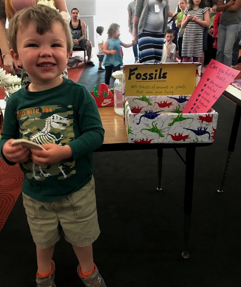 A Preschool Science Fair – This Crazy Home